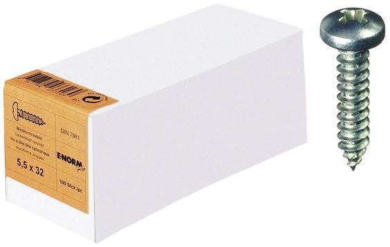 DIN 7981 ST galZn -C-H 5,5x22 KP E-NORMpro