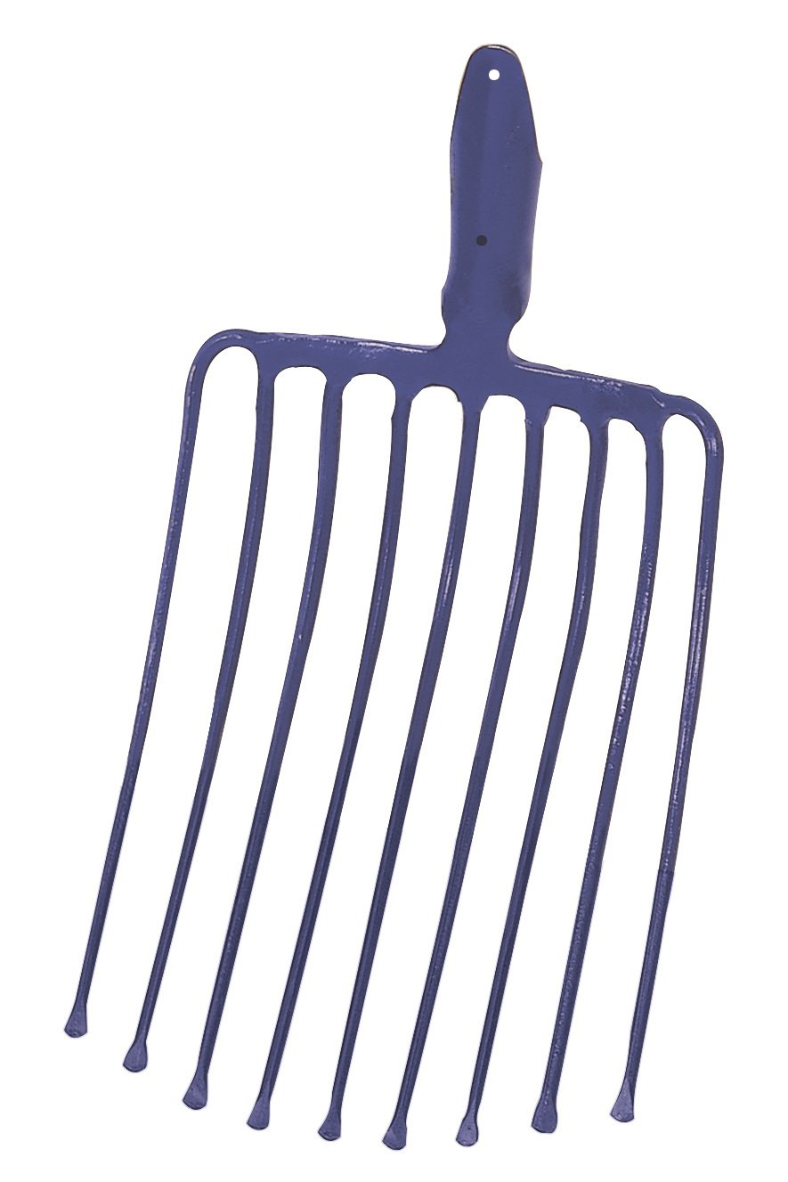 Steingabel ohne Stiel, Pionier