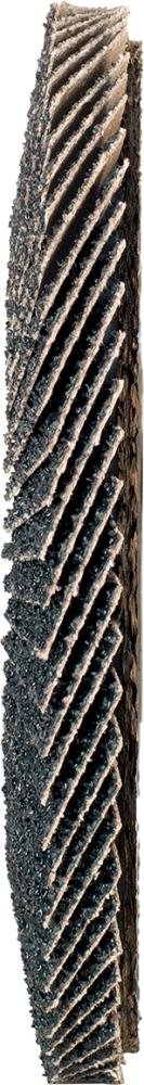 Fächerschleifscheiben